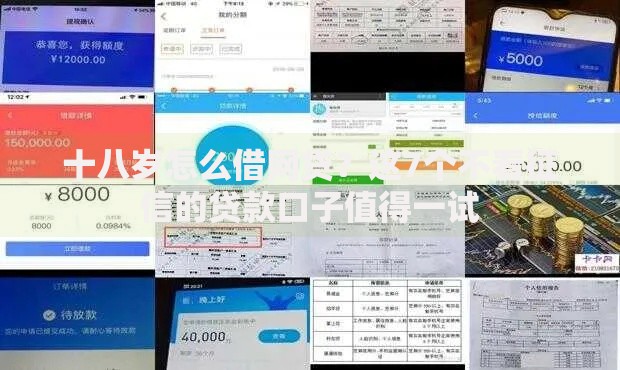 十八岁怎么借网贷?这7个不看征信的贷款口子值得一试 十八岁怎么借网贷?这7个不看征信的贷款口子值得一试