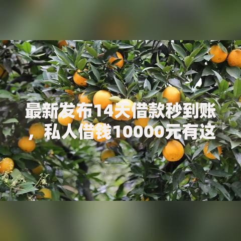 最新发布14天借款秒到账，私人借钱10000元有这5个渠道
