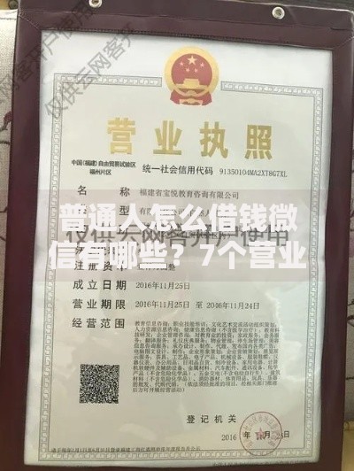普通人怎么借钱微信有哪些？7个营业执照贷款平台推荐给你
