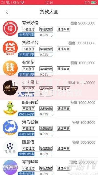 借钱口子借了么？十大黑名单可以贷款的平台推荐