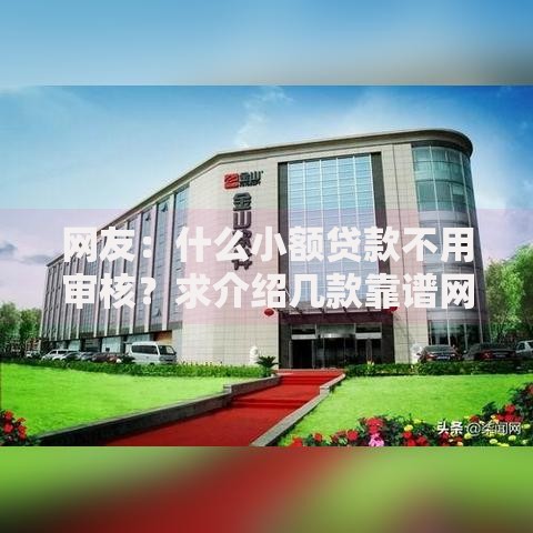 网友：什么小额贷款不用审核？求介绍几款靠谱网贷平台