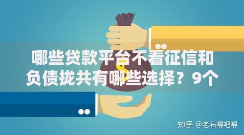 哪些贷款平台不看征信和负债拢共有哪些选择？9个锦鲤花借款一样的平台详解