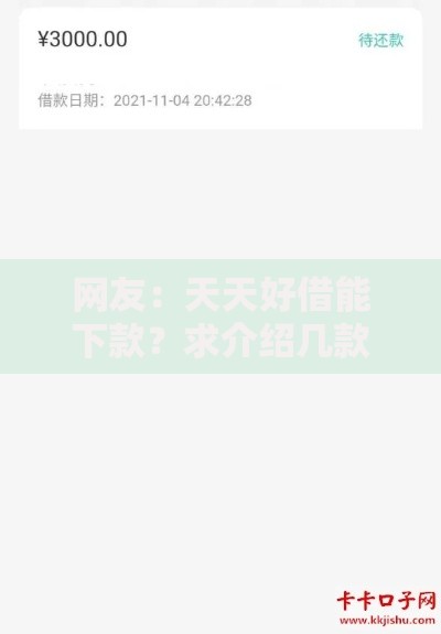 网友：天天好借能下款？求介绍几款无视黑白无视征信申请就下款的软件