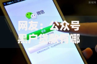 网友：公众号黑户贷款有哪些？求介绍几款黑户可以下的贷款口子