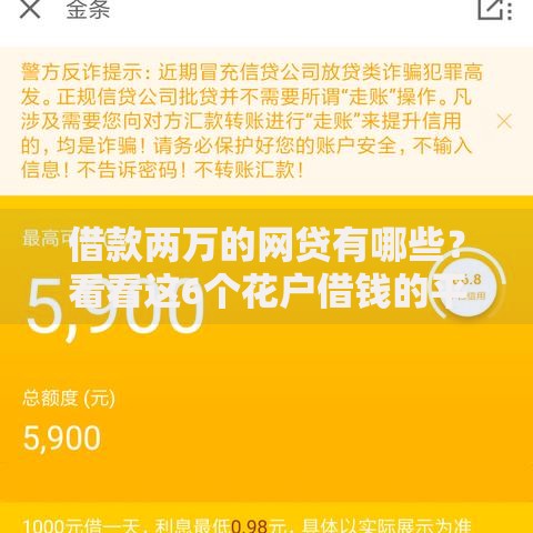 借款两万的网贷有哪些？看看这6个花户借钱的平台100%能借到怎么样