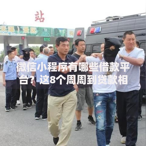 微信小程序有哪些借款平台？这8个周周到贷款相同系列的软件值得一试