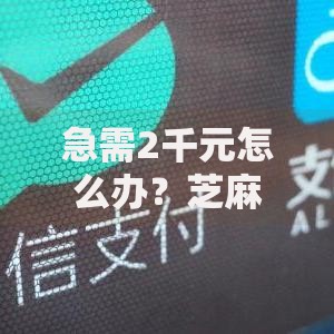 急需2千元怎么办？芝麻信用良好可以借款吗试试这7个无门槛平台