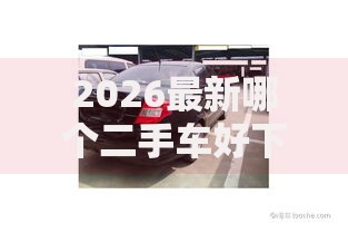 2026最新哪个二手车好下款，总结十个放水软件！