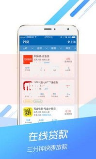 网友：哪个网贷能贷款2000块钱呢？求介绍几款类似葫芦花借款的平台