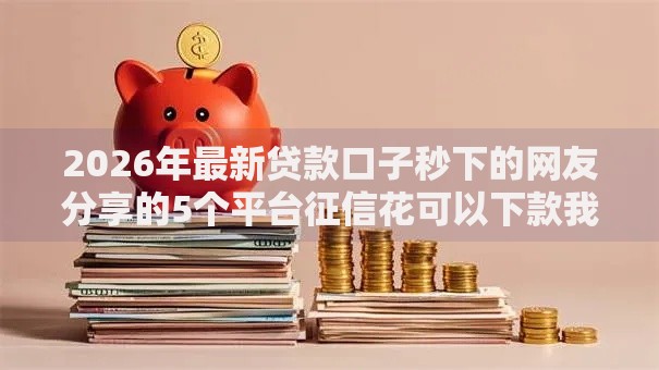 2026年最新贷款口子秒下的网友分享的5个平台征信花可以下款我觉得不错！