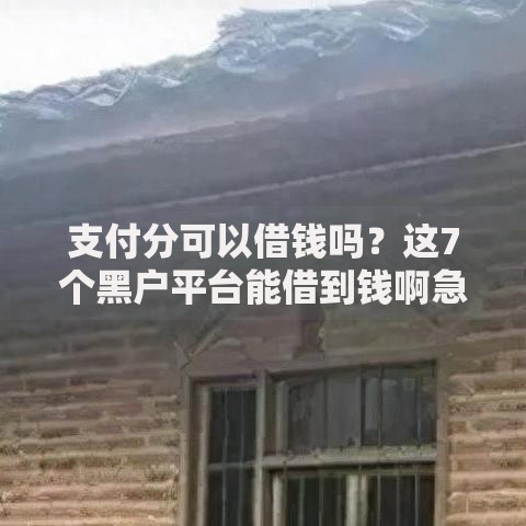 支付分可以借钱吗？这7个黑户平台能借到钱啊急用可以试试
