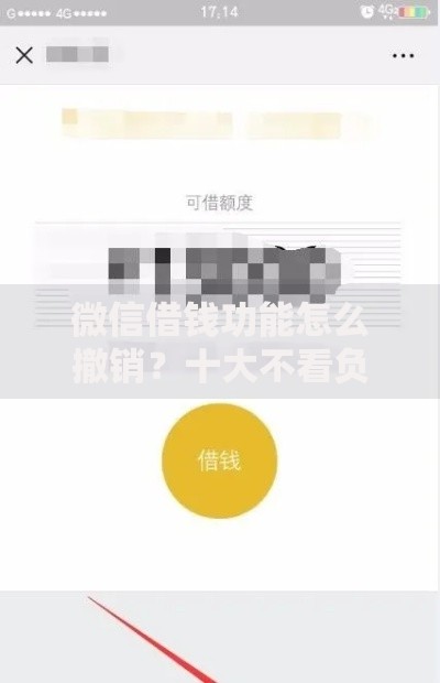 微信借钱功能怎么撤销？十大不看负债查询的软件推荐