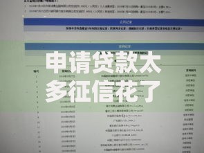 申请贷款太多征信花了怎么办拢共有哪些选择？7个不看负债查询的软件详解