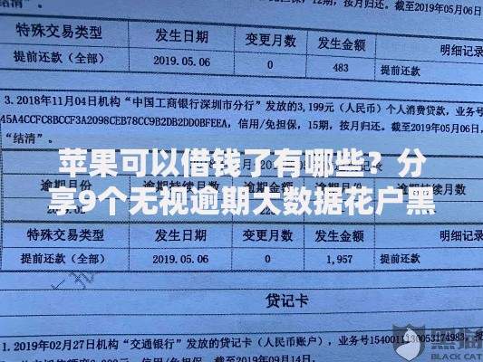 苹果可以借钱了有哪些？分享9个无视逾期大数据花户黑户口子