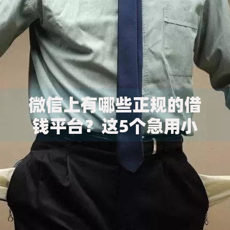 微信上有哪些正规的借钱平台？这5个急用小钱不求征信流水轻松贷的平台值得一试