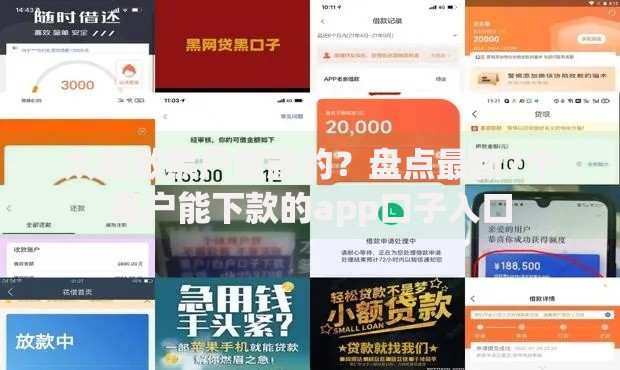 太原做黑户贷款的？盘点最新7个黑户能下款的app口子入口