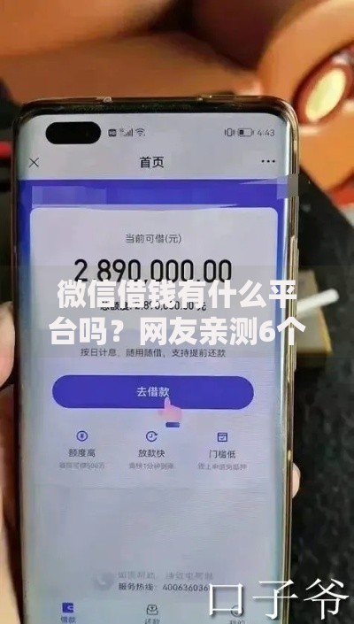微信借钱有什么平台吗？网友亲测6个新号易贷速审秒下款软件盘点