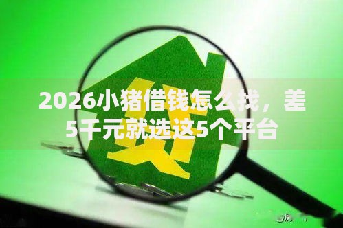 2026小猪借钱怎么找，差5千元就选这5个平台