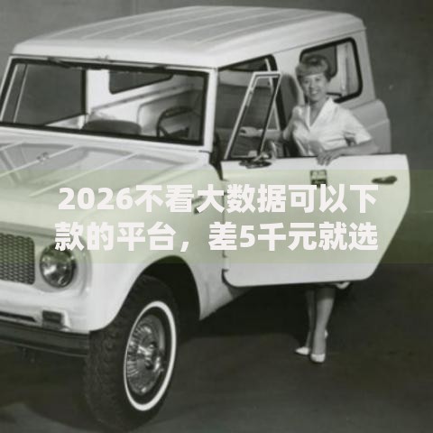 2026不看大数据可以下款的平台，差5千元就选这8个平台
