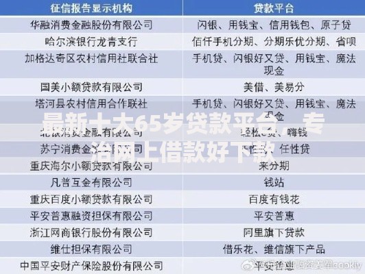 最新十大65岁贷款平台，专治网上借款好下款