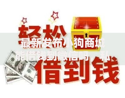 最新发布小狗商城能借钱到微信吗，私人借钱3000元有这5个渠道