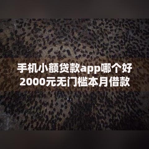 手机小额贷款app哪个好2000元无门槛本月借款平台力荐！分享小额网贷口子2000元无门槛借款