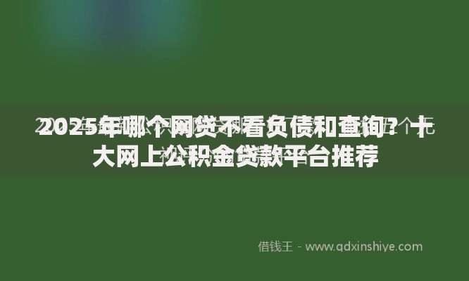 2025年哪个网贷不看负债和查询？十大网上公积金贷款平台推荐