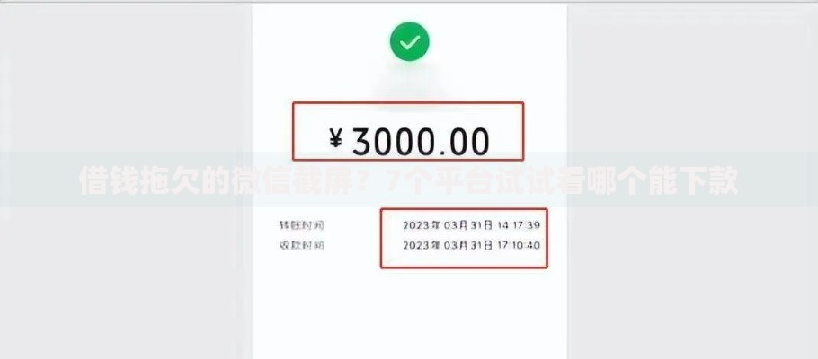 借钱拖欠的微信截屏？7个平台试试看哪个能下款