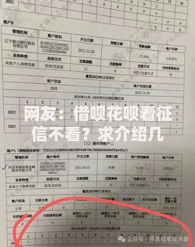 网友：借呗花呗看征信不看？求介绍几款现在可以借钱的平台