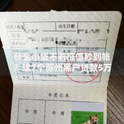 什么小贷不看征信秒到帐？这7个苏州黑户贷款5万的软件值得一试