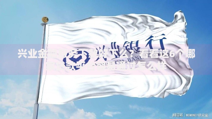 兴业金融服务下款好下么？看看这6个哪家贷款平台容易通过怎么样