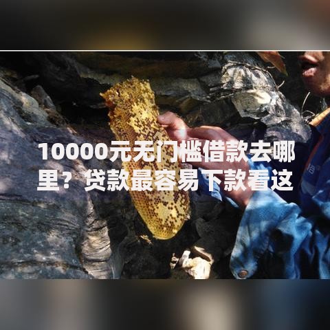 10000元无门槛借款去哪里？贷款最容易下款看这5个平台