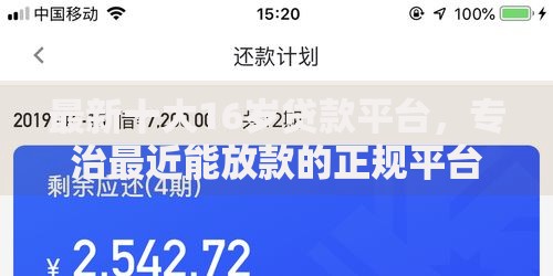 最新十大16岁贷款平台，专治最近能放款的正规平台