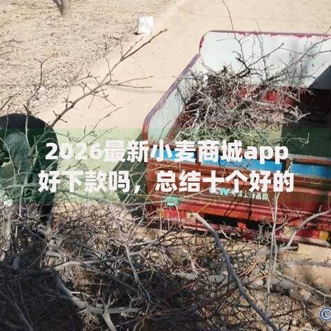 2026最新小麦商城app好下款吗，总结十个好的网贷平台！
