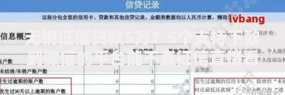 无视征信贷款5万？5个支持下款到微信的平台能不查征信直接看出来借款额度