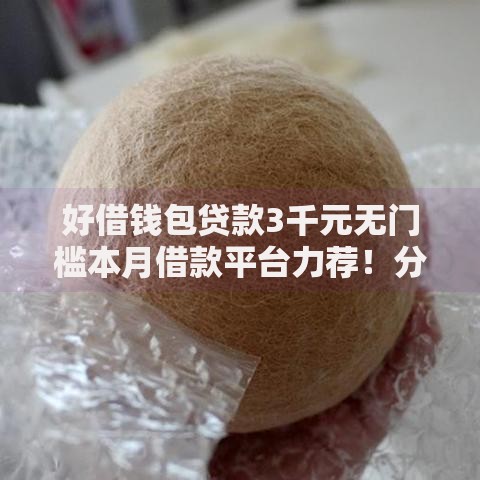 好借钱包贷款3千元无门槛本月借款平台力荐！分享小额网贷口子3千元无门槛借款