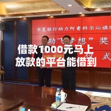 借款1000元马上放款的平台能借到钱吗？3千元无门槛借款5个平台推荐