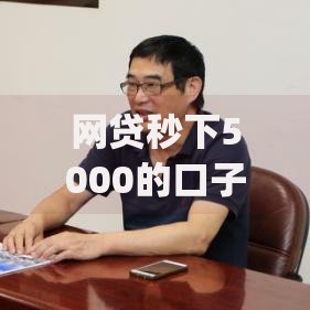 网贷秒下5000的口子？看看这8个审贷口子审核加快的app怎么样
