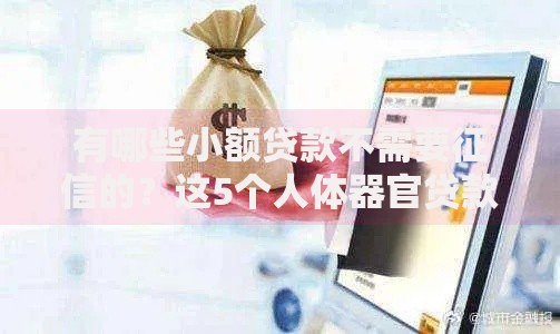 有哪些小额贷款不需要征信的？这5个人体器官贷款平台值得一试