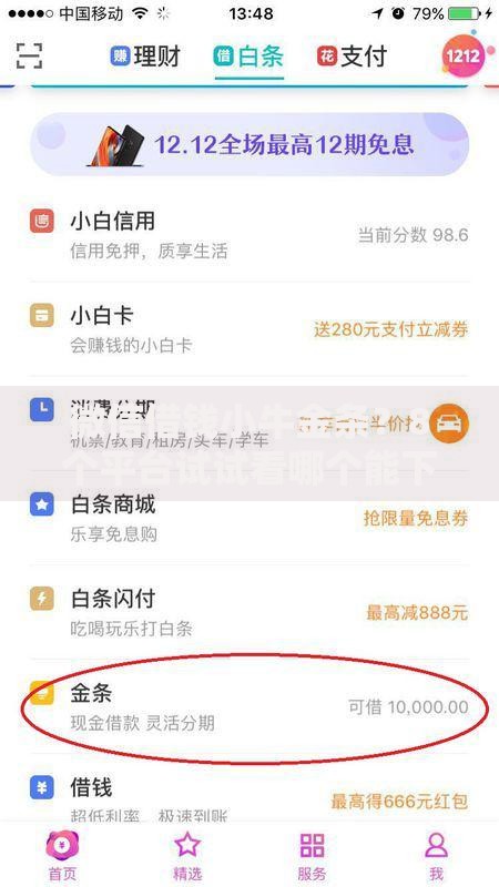 微信借钱小牛金条？8个平台试试看哪个能下款