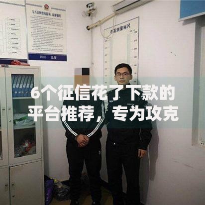 6个征信花了下款的平台推荐，专为攻克苹果手机不查征信的贷款难题