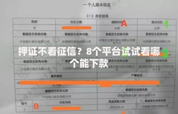 押证不看征信？8个平台试试看哪个能下款