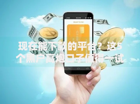 现在能下款的平台？这5个黑户高炮口子值得一试