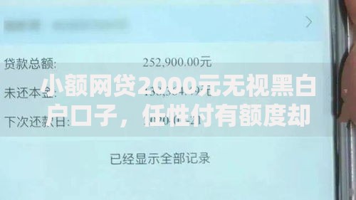 小额网贷2000元无视黑白户口子，任性付有额度却不下款的6个平台介绍