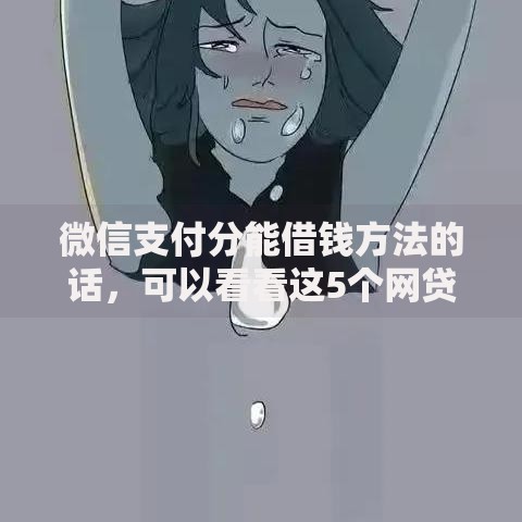 微信支付分能借钱方法的话,可以看看这5个网贷比较正规的平台 微信支付分能借钱方法的话,可以看看这5个网贷比较正规的平台