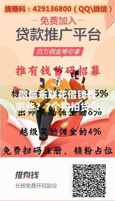 微信东联花借钱有哪些？7个拍拍贷类似的贷款平台推荐给你