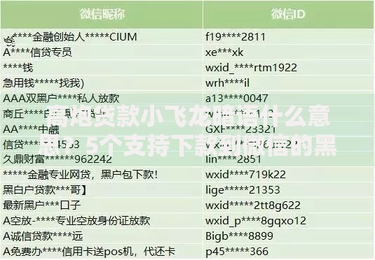 高炮贷款小飞龙暗语什么意思？5个支持下款到微信的黑户可以借款的软件