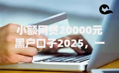 小额网贷20000元黑户口子2025,一天内4次信用卡被拒的7个平台介绍 小额网贷20000元黑户口子2025,一天内4次信用卡被拒的7个平台介绍