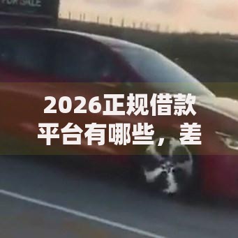 2026正规借款平台有哪些，差10000元就选这8个平台