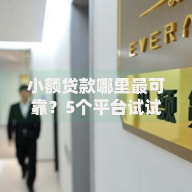 小额贷款哪里最可靠？5个平台试试看哪个能下款